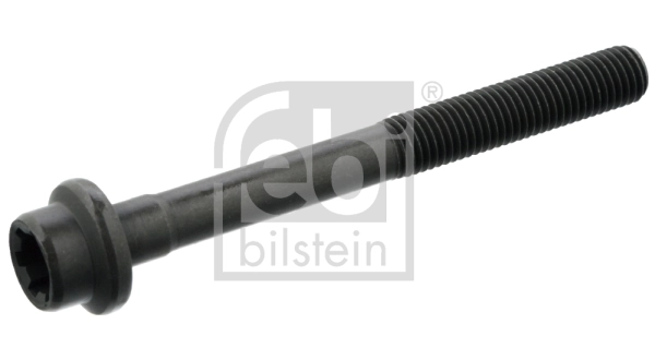Cylinder Head Bolt 15698