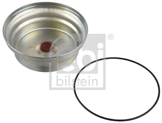 Protection Lid, wheel hub 173100