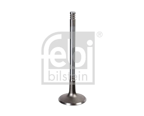 Intake Valve 17386
