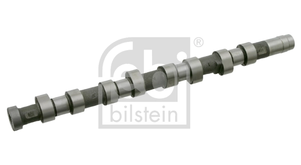 Camshaft 24689