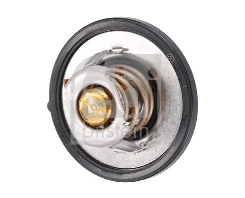 Thermostat, coolant 193096