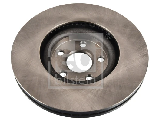Brake Disc 176973