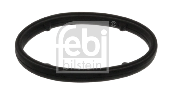 Gasket, oil cooler 101399