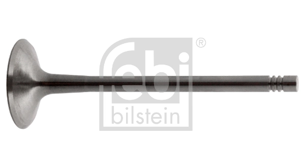 Intake Valve 36497