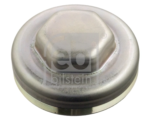 Protection Lid, wheel hub 104379