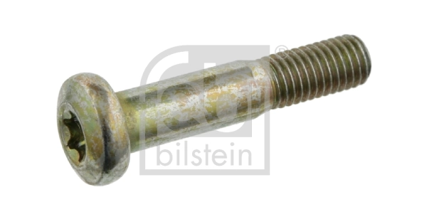 Bolt, control arm 24391