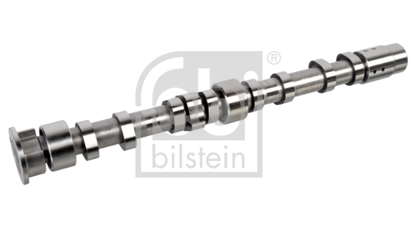 Camshaft 176005