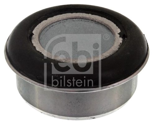 Bushing, axle beam 44892