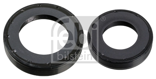 Shaft Seal Set, differential 173279