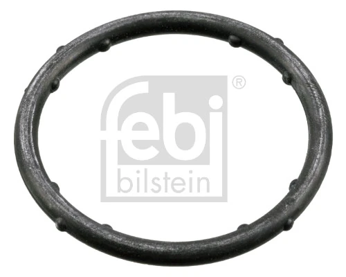 Gasket, coolant flange 18766