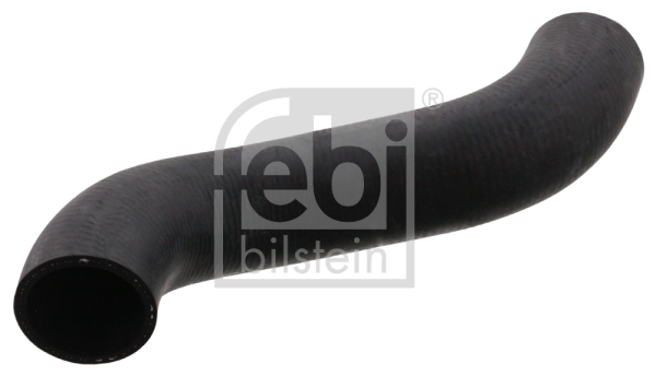 Radiator Hose 100308