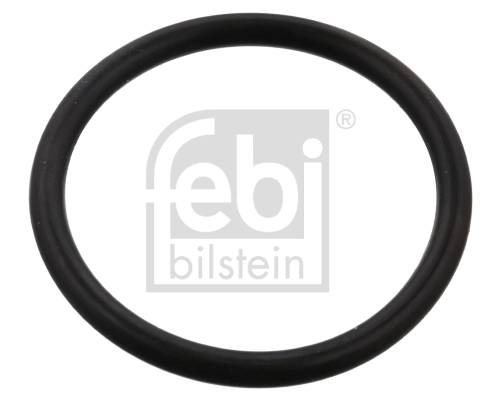 Seal Ring, coolant hose 102594