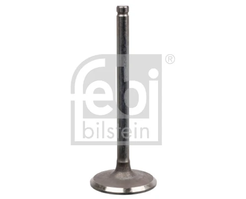 Intake Valve 17392