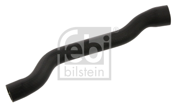 Radiator Hose 37374