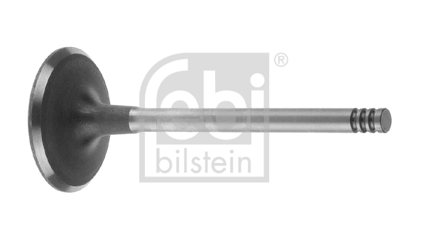 Intake Valve 19958