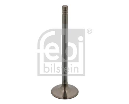 Intake Valve 17388