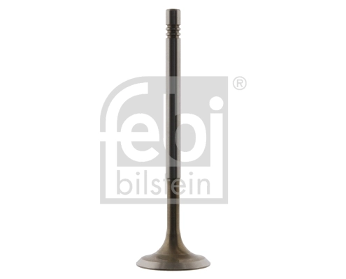 Intake Valve 32333