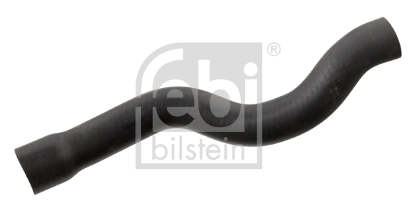Radiator Hose 37128