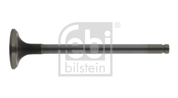 Exhaust Valve 18667