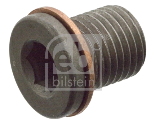 Screw Plug, oil sump 104309