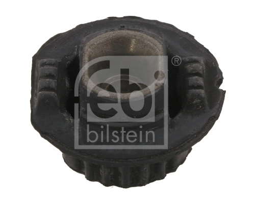 Bushing, axle beam 33658