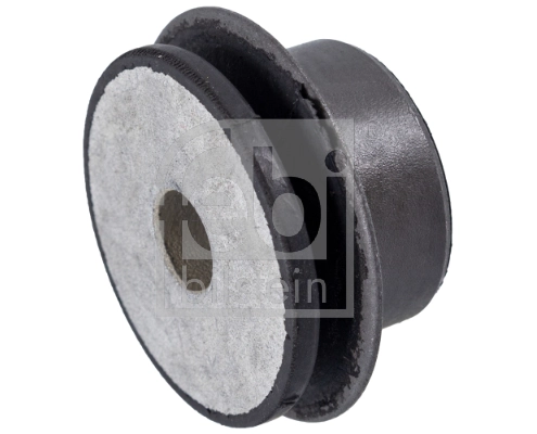 Mounting, control/trailing arm 23568