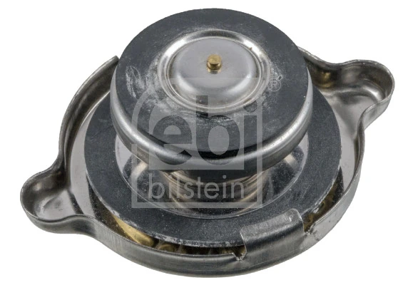 Cap, coolant tank 02359