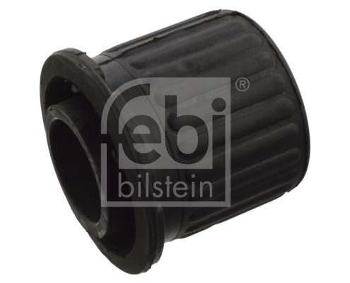 Bushing, axle beam 10301