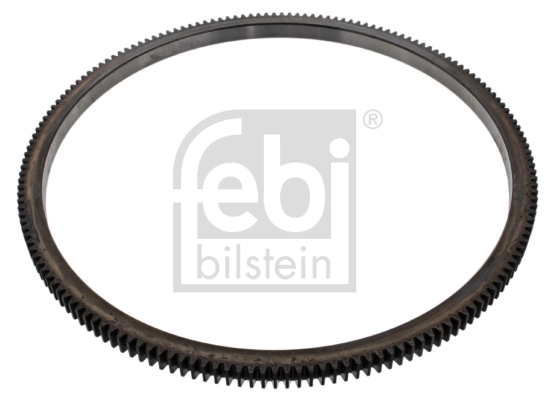 Ring Gear, flywheel 44304