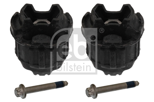 Bush Set, axle beam 22840