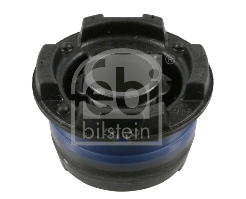 Bushing, axle beam 22955