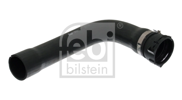 Radiator Hose 39320