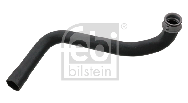 Radiator Hose 100307