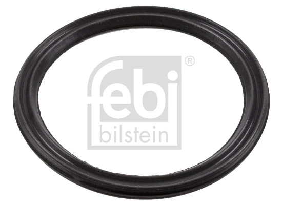 Seal Ring, engine oil level sensor 184584