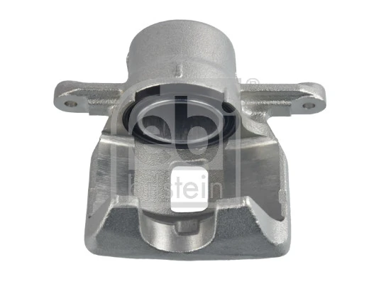 Brake Caliper 181196