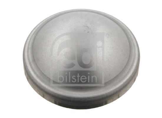 Cap, wheel bearing 29854