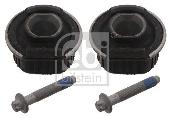Bush Set, axle beam 33661