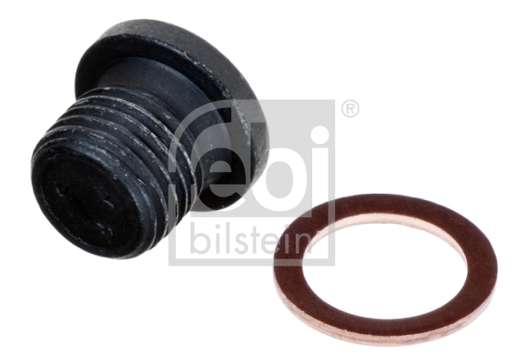 Screw Plug, oil sump 171173