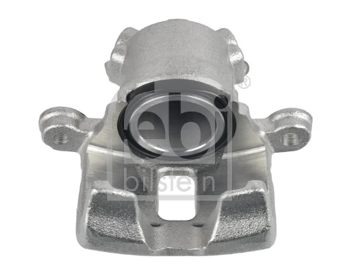 Brake Caliper 181191