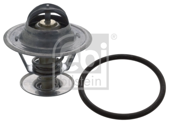 Thermostat, coolant 18290