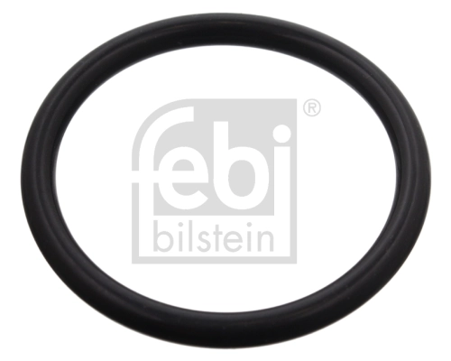 Seal Ring, coolant hose 100991