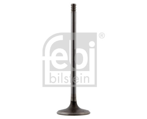 Intake Valve 29627