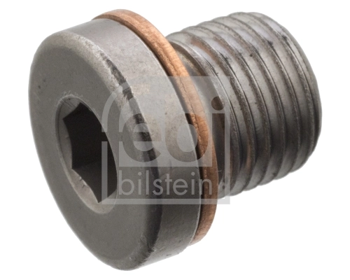 Screw Plug, axle drive 101021
