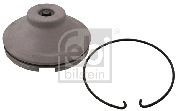 Protection Lid, wheel hub 35181