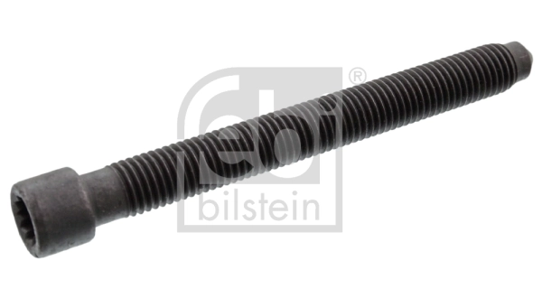 Cylinder Head Bolt 18146