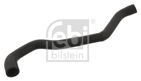 Radiator Hose 37098