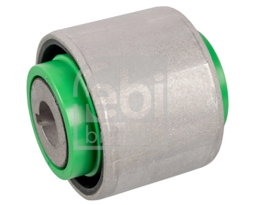 Mounting, differential 171131