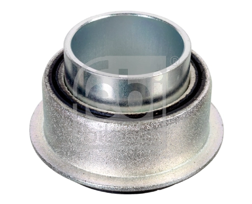 Bushing, axle beam 173617