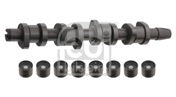 Camshaft Kit 33195