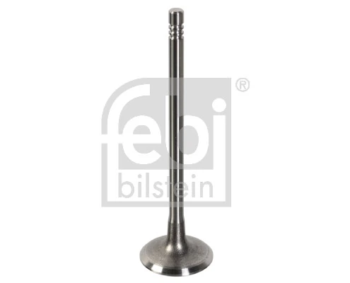 Intake Valve 181647